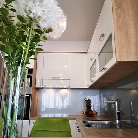 Vujcic Макарська